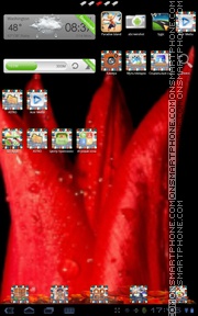 Red Tulips Theme-Screenshot