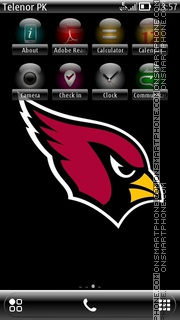 Hawk tema screenshot