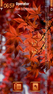 Скриншот темы Autumn Leaves