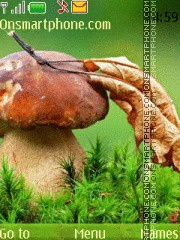 Capture d'écran Fungi thème