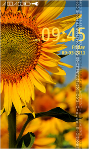 Sunflower 13 tema screenshot