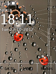 Ladybirds And Net Theme-Screenshot