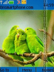 Скриншот темы Green Parrots