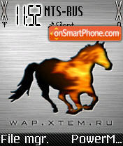 Wap Xtem Ru tema screenshot