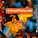 Autumn 02 tema screenshot