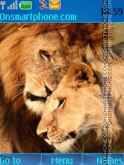 Lions Love es el tema de pantalla