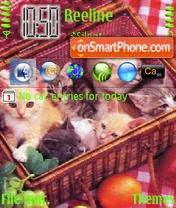 Kitten 01 Theme-Screenshot