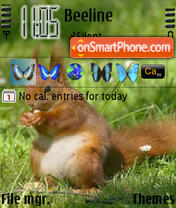 Squirrel Theme-Screenshot