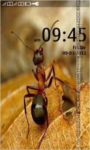 Capture d'écran Ant 01 thème