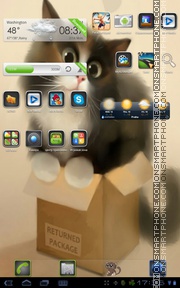 Too Cute Kitten tema screenshot