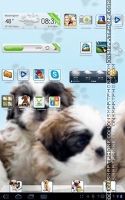 Puppy 08 Theme-Screenshot