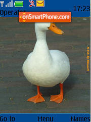 Duck tema screenshot