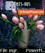 Tulips theme screenshot