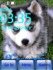 Husky tema screenshot