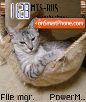 Cat zzz tema screenshot