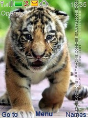 Tiger Cub tema screenshot