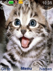 Tabby Cat tema screenshot