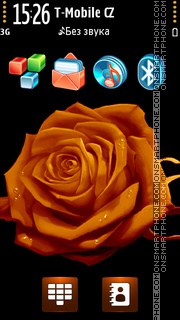 Orange Rose 05 tema screenshot