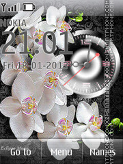 White Orchids theme screenshot