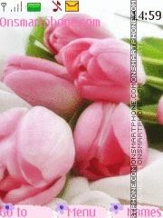 Love Tulips tema screenshot