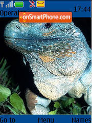 Blue Iguana tema screenshot