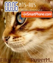 Cat 06 theme screenshot