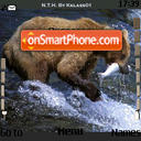 Bear 03 tema screenshot
