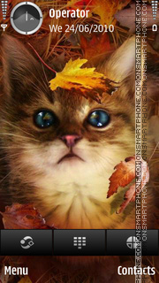 Kitten theme screenshot