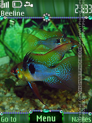 Colorful aquarium theme screenshot