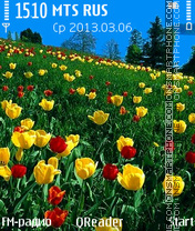 Скриншот темы Tulips Field