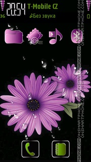 Daisy flowers 01 theme screenshot