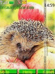 Скриншот темы Hedgehog and Apples