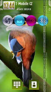 Скриншот темы Lovely Bird HD v5