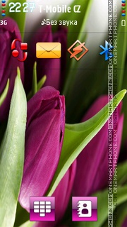 Purple Tulips HD v5 theme screenshot