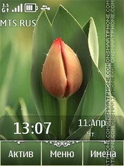 Tulip Theme-Screenshot