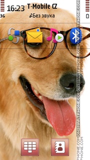 Dog In Glasses tema screenshot