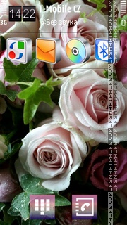 Roses 08 theme screenshot