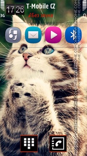 Kitten 14 tema screenshot