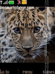 Скриншот темы Leopard 04