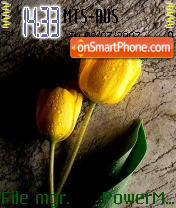 Yellow Rose tema screenshot