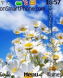 Natura - Daisies Theme-Screenshot