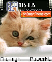 Funny Cat 01 tema screenshot