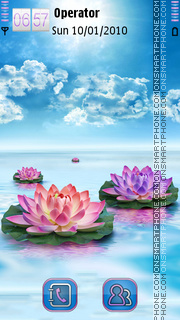 Water Lily theme screenshot