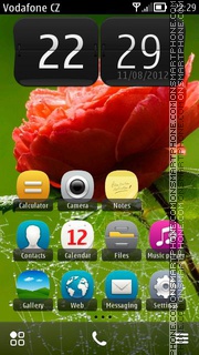 Red Rose And Spider Web tema screenshot