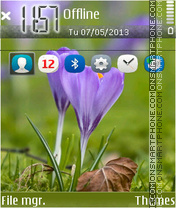 Springtime 03 tema screenshot