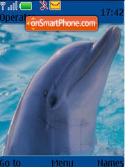 Capture d'écran Dolphin 02 thème