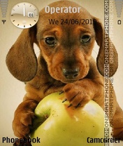 Puppy and Apple Theme-Screenshot