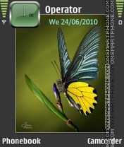 Capture d'écran Fluture thème