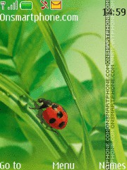 Ladybird es el tema de pantalla