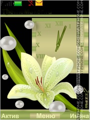 Flowers and pearls es el tema de pantalla